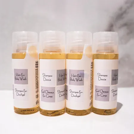 德尔比埃菲尔酒店